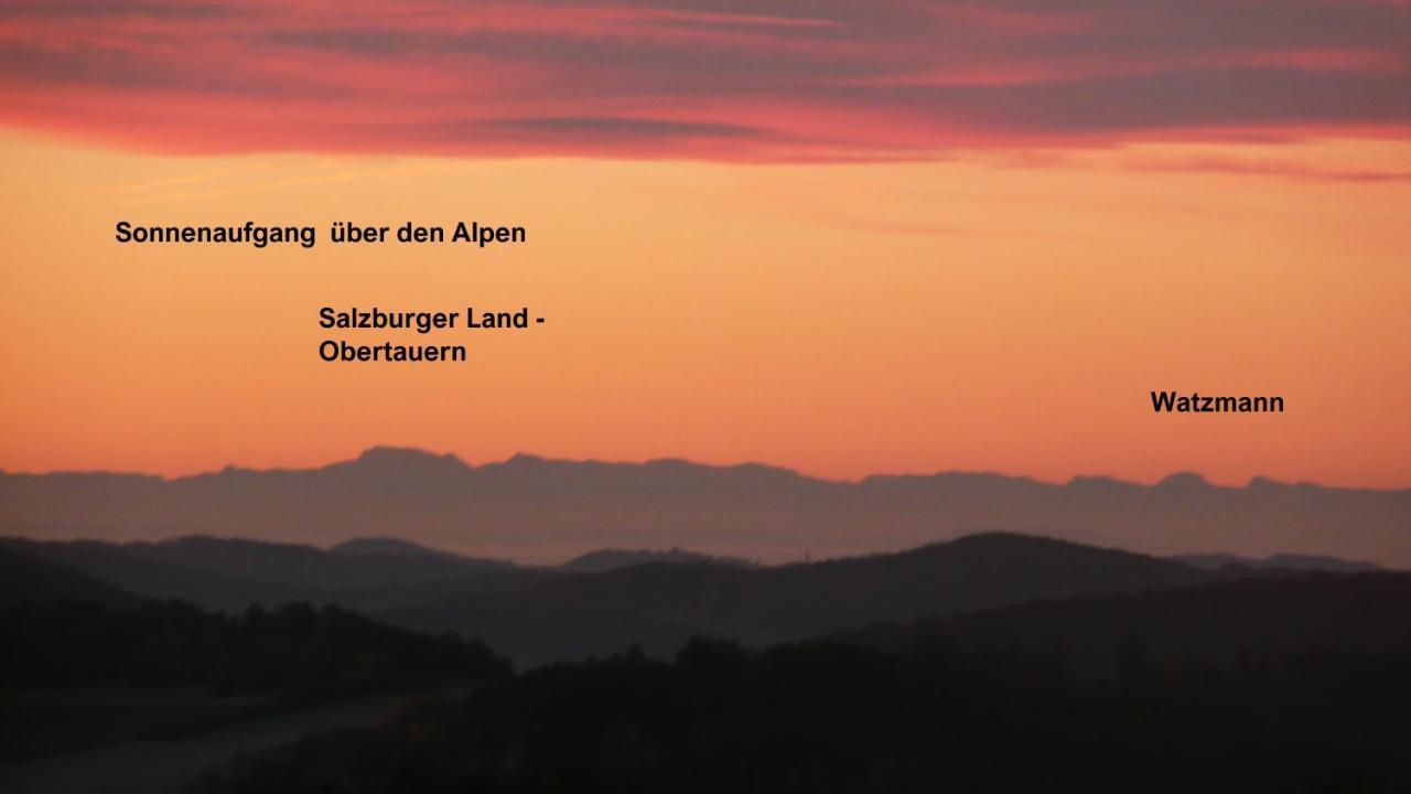 Ferienwohnungen Alpenblick Mit Garten -Panoramasauna- Kirchdorf im Wald Zewnętrze zdjęcie